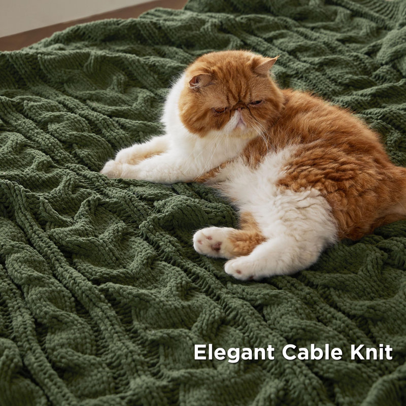 Bedsure Chenille Cable Knitted Throw Blanket For Couch GentleSoft™️, 60" W x 80" L, Green