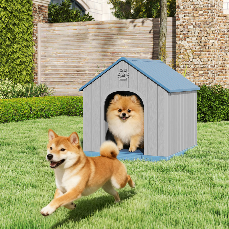 Niche pour chien d'extérieur résistante aux intempéries et aux intempéries, H 39 po x l 36,2 po x P 39 po, Bleu, Avec fenêtre