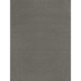 Paani Hand Loomed Area Rug in Taupe