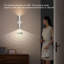 Danapaola LED Flush Mounted Sconce-970014736