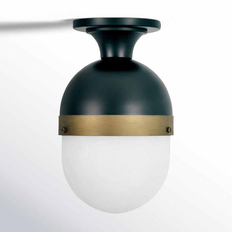 Marie Matte Black 8'' W 1 - Bulb Outdoor Semi Flush Mount