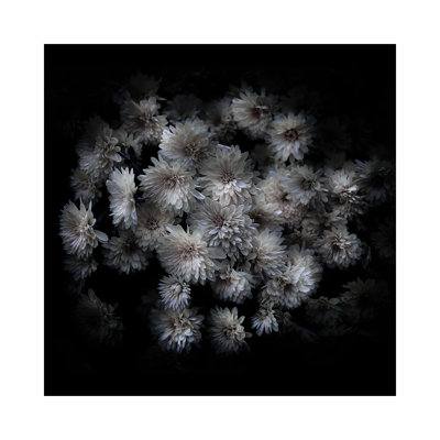 Mum Bouquet by Brian Carson - Wrapped Canvas Print