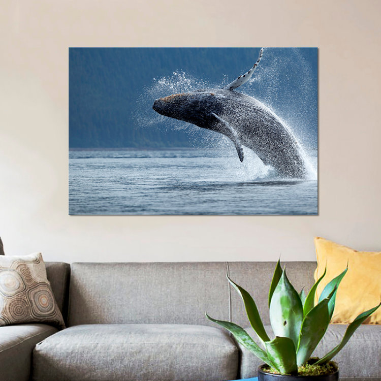«Breaching Humpback Whale, Chatham Strait, Alaska, USA», impression sur toile, H 8 po x l 12 po x P 0,75 po, Toile tendue