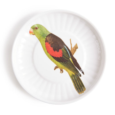 PARROT SM. PAPER PLATES SET OF 4