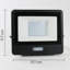 Amie-Leigh Flood Light