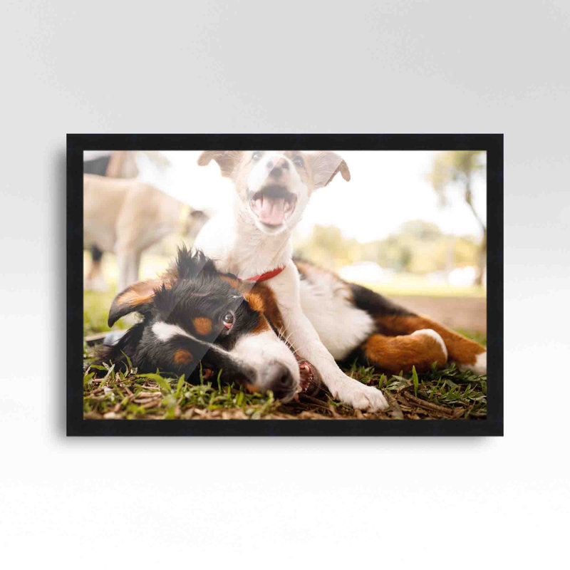 Cadre pour photo simple en bois mat, Noir, 24 po x 28 po