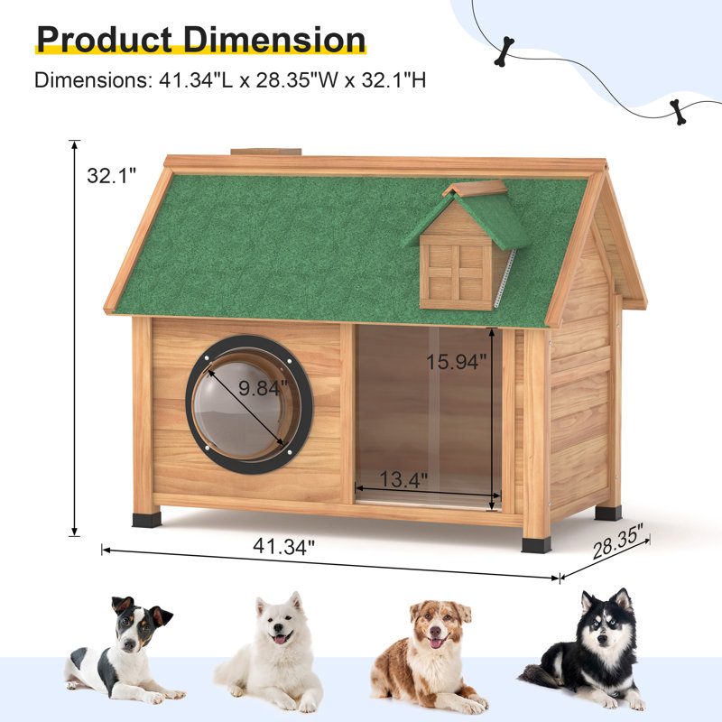 Dog House, Yellow