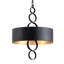 4 - Light Unique/Statement Drum Pendant
