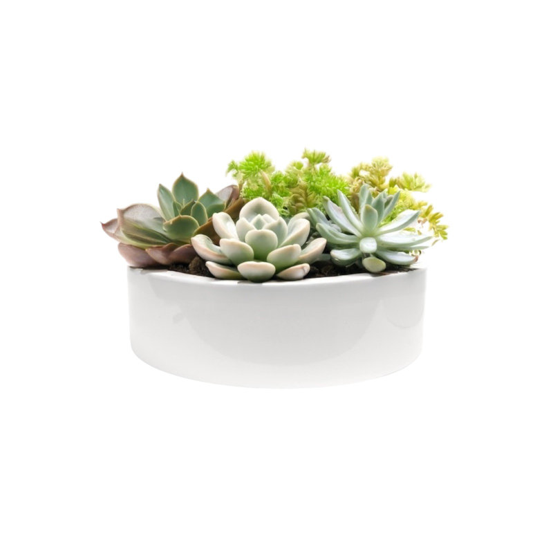 Electra Handmade Pot Planter