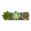 Plante artificielle