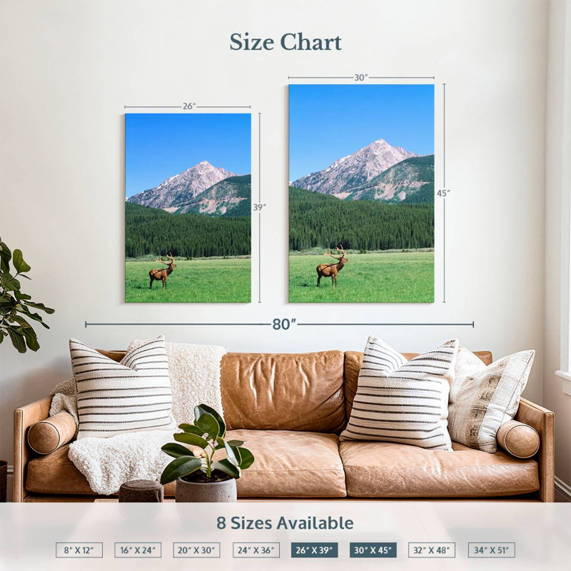 Brampt Coyote Valley Elk, 39" H x 26" W