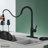Boyel Living Pull Down Kitchen Faucet-79113187