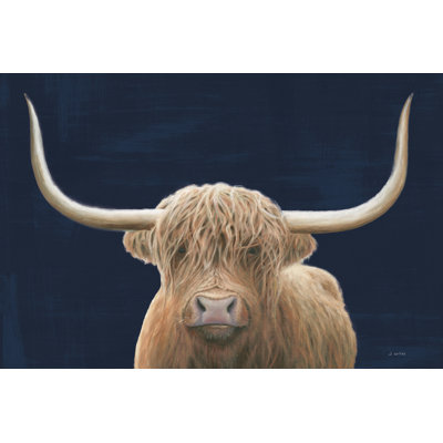 Vache Highland bleu marine