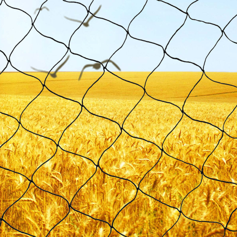 Crop Orchard Net Bird Netting, 591"H x 1181" W