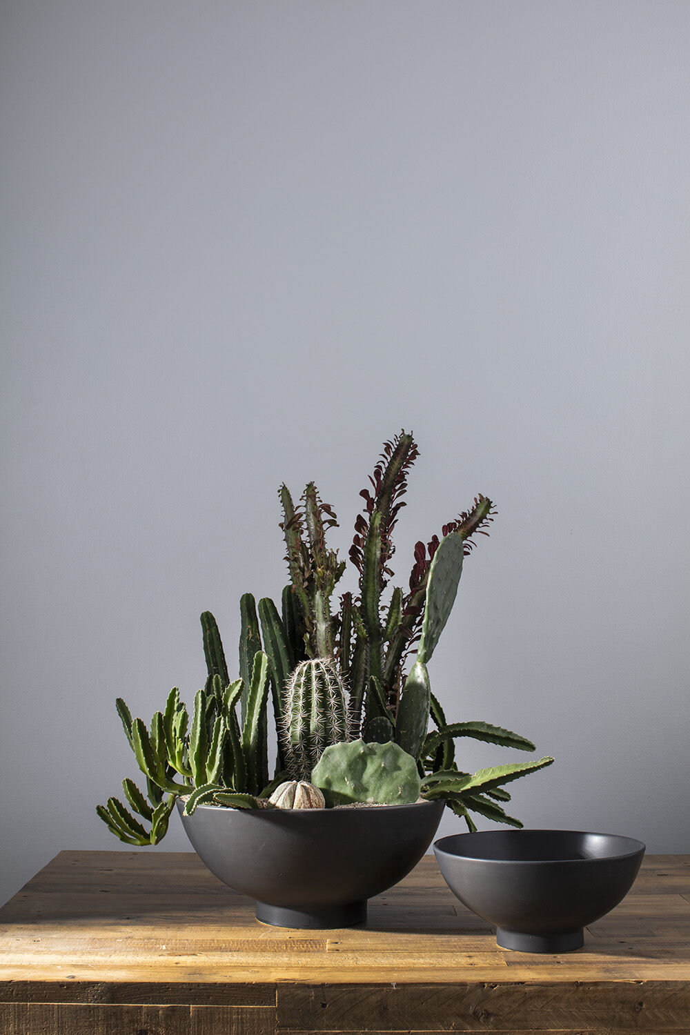 Allie Ceramic Pot Planter, 7.75'' H x 16.5'' W x 16.5'' D
