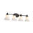 4 - Light Vanity Light