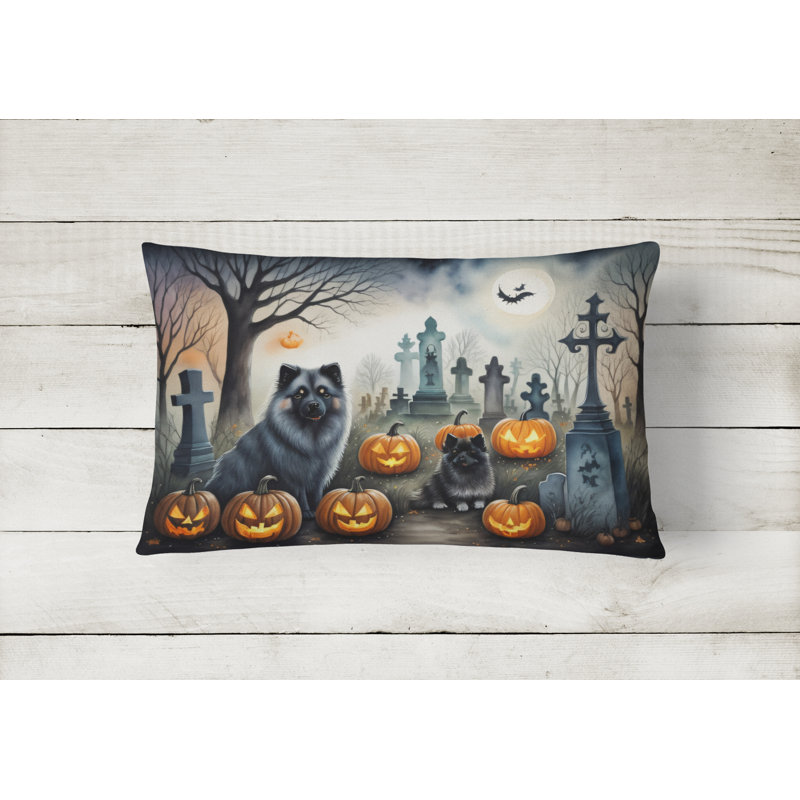 Other/No Pattern Outdoor Throw Pillow