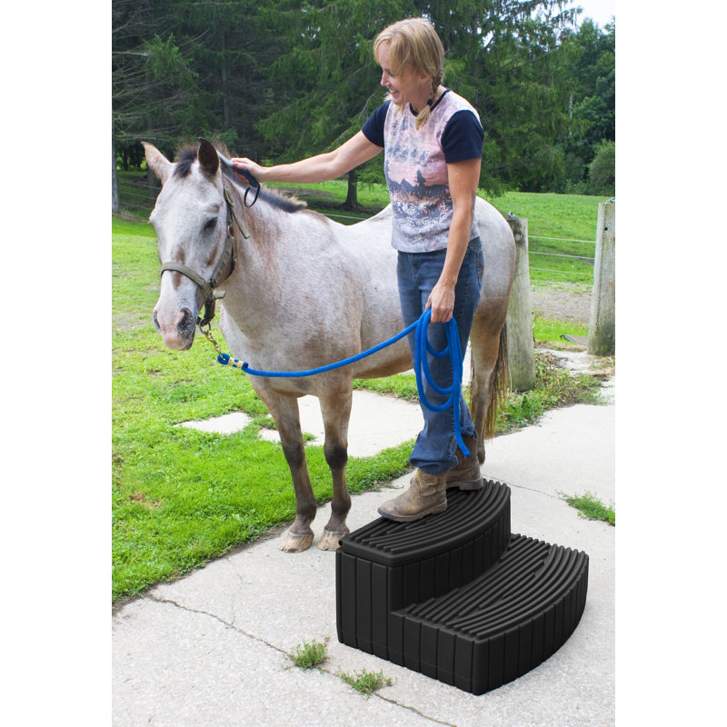 2 - Step Plastic Hot Tub Step, Black