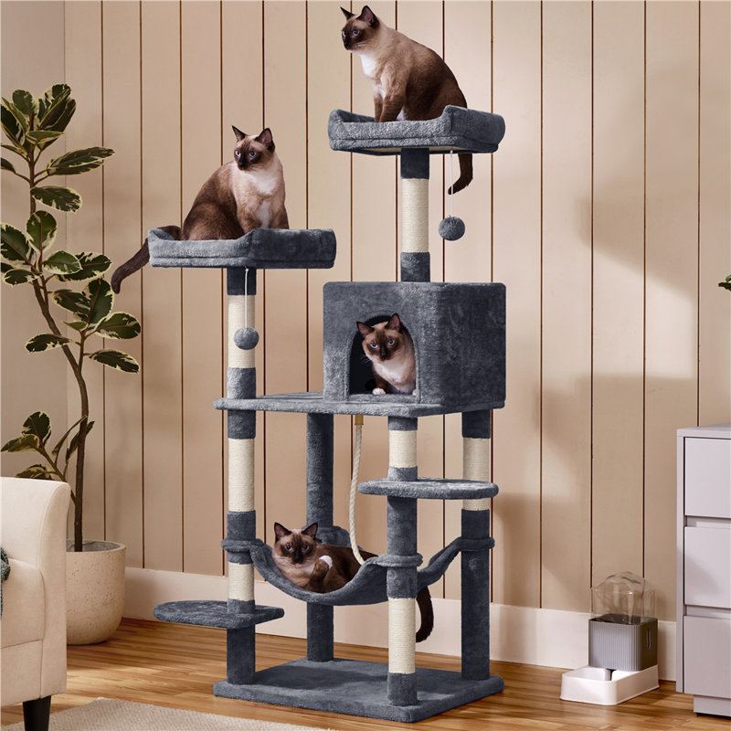 Tonquin 59'' H Cat Tree, Dark Gray
