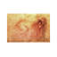Sketch Of A Roaring Lion by Leonardo Da Vinci - Painting on Canvas-42154448-89235136
