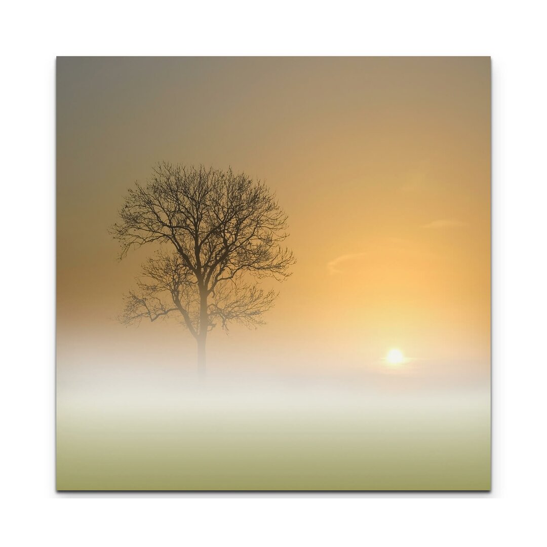 Leinwandbild Baum im Nebel