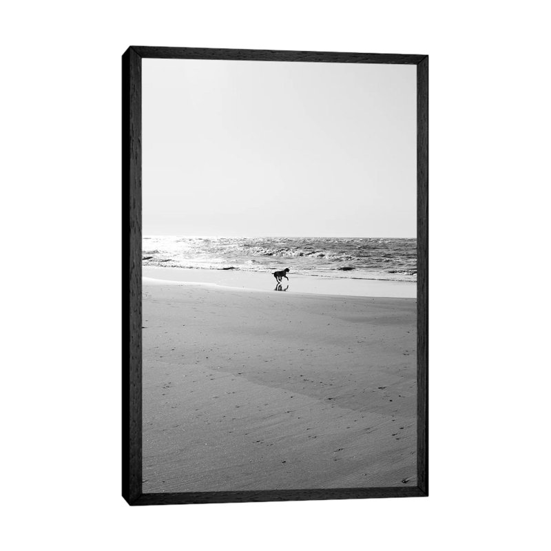 Sullivan's Island IX by Bethany Young - Print on Canvas, Black Framed, 101.6cm H x 66.04cm W x 3.81cm D