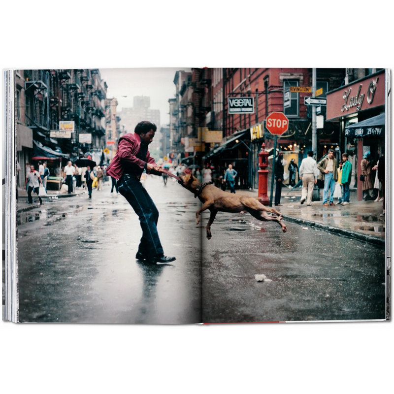 New York, Portrait Of A City