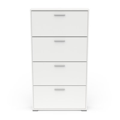 Barbaa 12 Pair Shoe Storage Cabinet