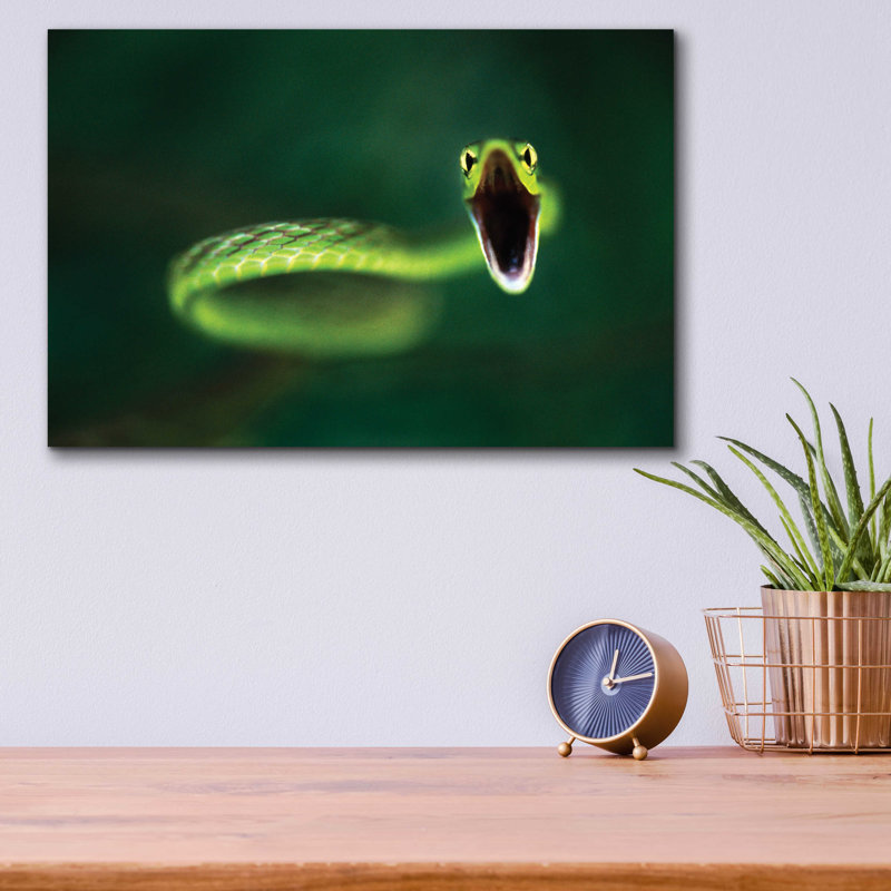 «Vine Snake» par Thomas Haney, H 12 po x l 16 po x P 0,13 po