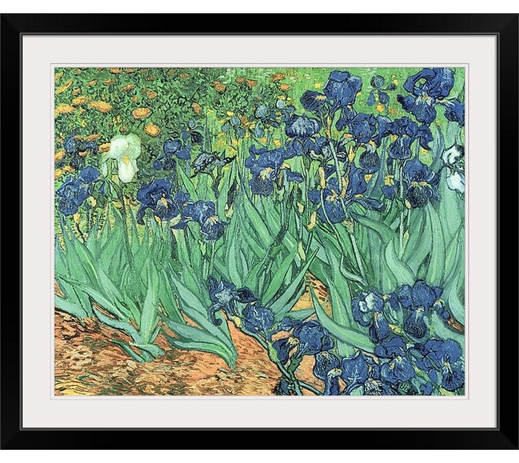 Vault W Artwork Irises, 1889 by Vincent Van Gogh Print | Wayfair
