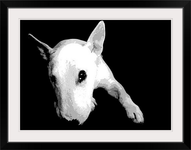 «English Bull Terrier» par Francy, impression, H 25 po x l 32 po x P 1 po, Cadre noir