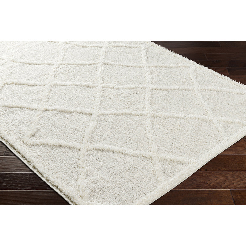 Coito Oriental Area Rug, Rectangle 160 x 213cm