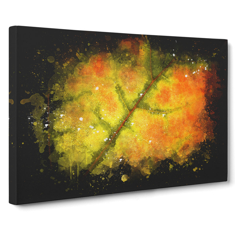 The Leaf Of A Sycamore Tree - Wrapped Canvas Print, 40cm H x 60cm W x 3cm D