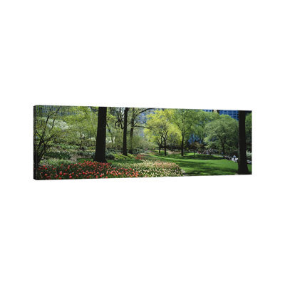 Trees In A Park, Central Park, Manhattan, New York City, New York State, USA #2 - Wrapped Canvas Panoramic Print