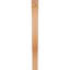 Attelle de genou Funston-1812888344-1803675910-1812888343
