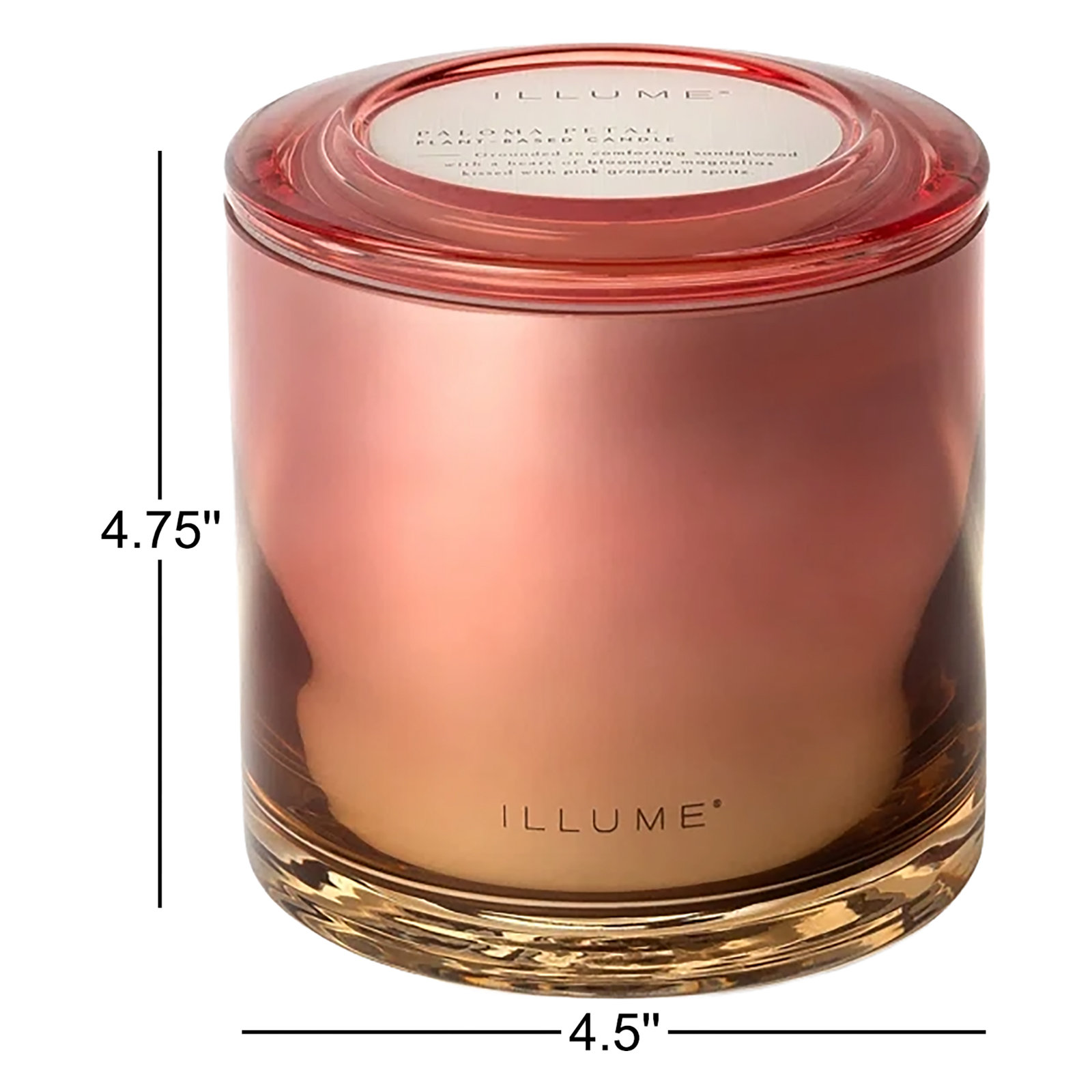 ILLUME Beautifully Done Baltic Glass Candle, Paloma Petal, Statement Glass