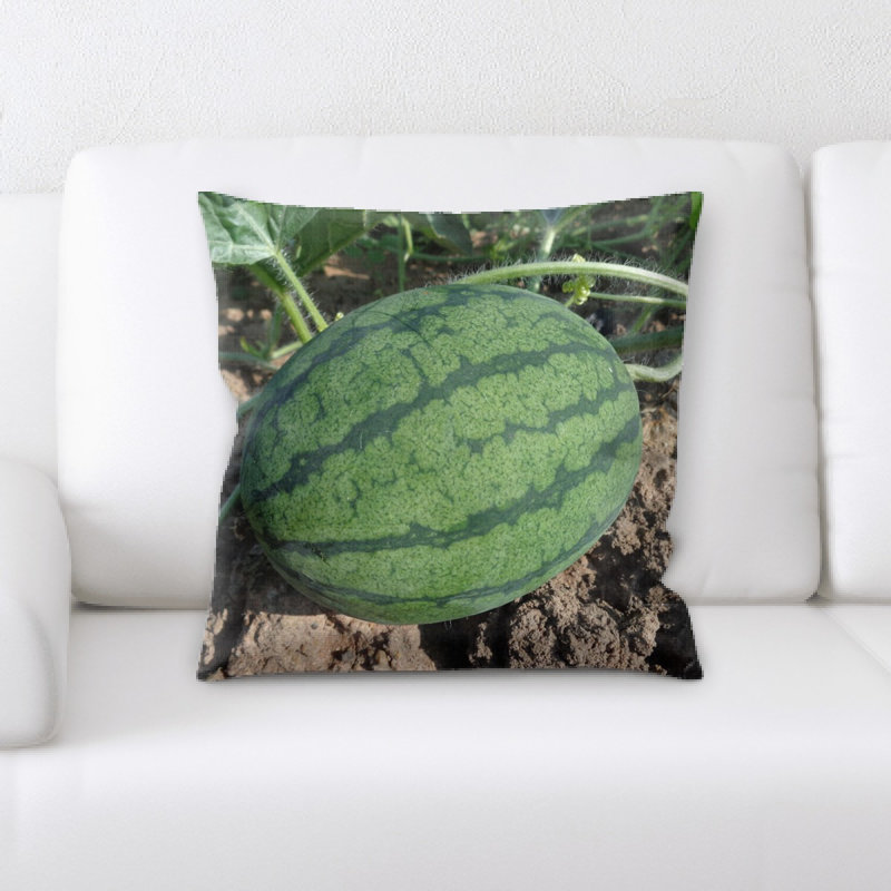 Coussin de pastèque