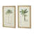 S/2 Tree Framed Print