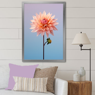 Fleurs éternelles de dahlia rose - imprimé
