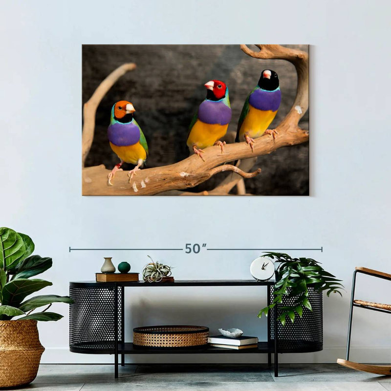 Rainbow Finches, 30" H x 45" W