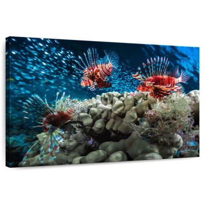 Crowle Lionfish School