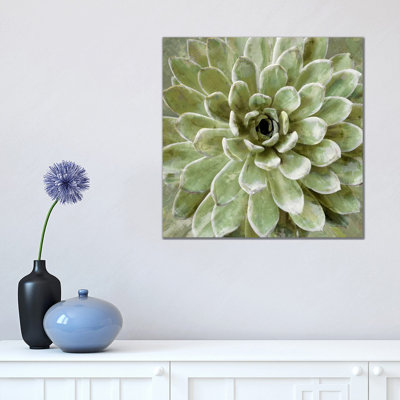 Lindsay Benson - Wrapped Canvas Print