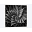 « succulent i », impression sur toile-29173932-72797709-72797711