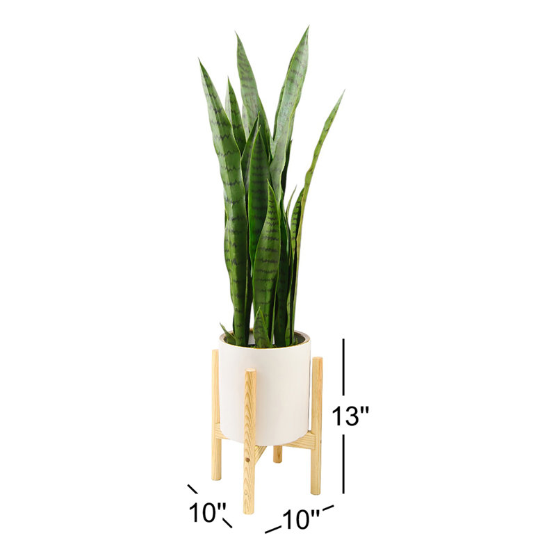 Pot à fleur en céramique Odessa, Blanc / hêtre naturel