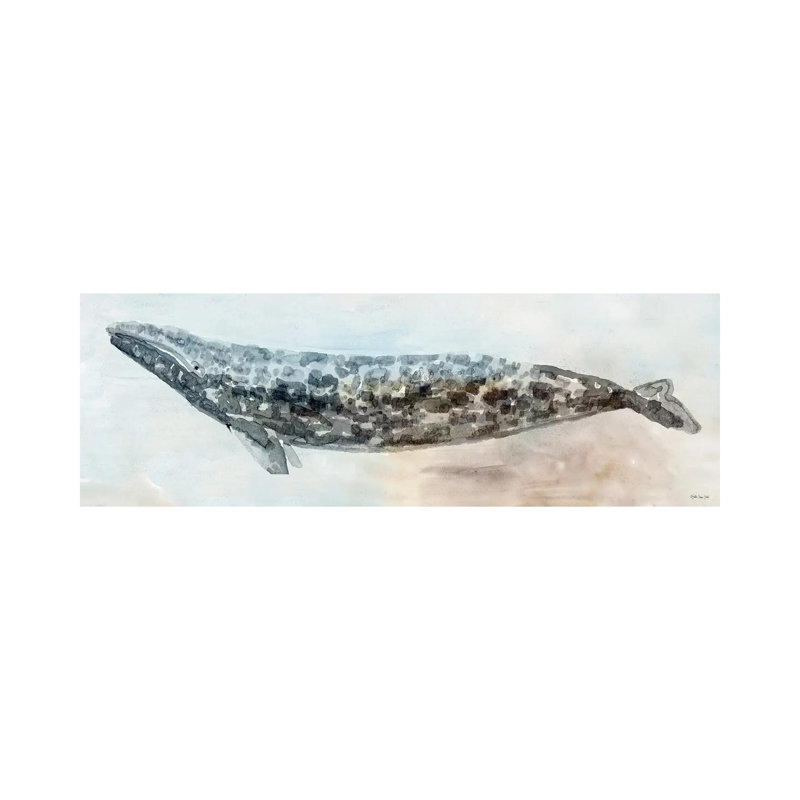 Whale Color I by Stellar Design Studio - Wrapped Canvas Panoramic Gallery-Wrapped Canvas Giclée, 30.48 cm H x 91.44 cm W
