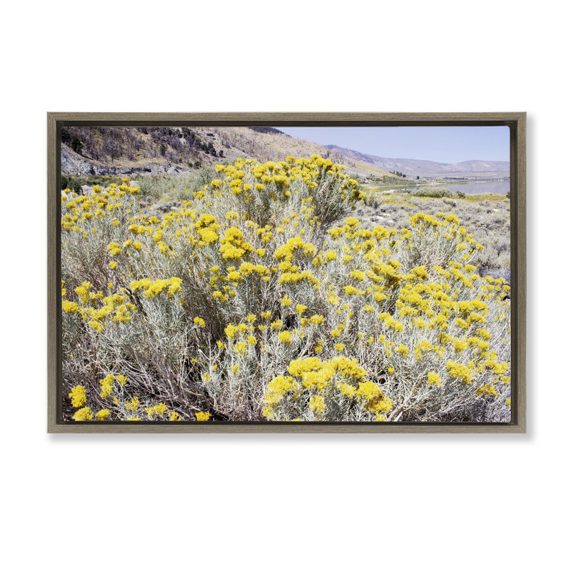Fleurs jaunes dans un cadre flottant de prairie aride, design par Gemma Bardot, H 21 po x l 31 po