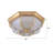 Kuiken Flush Mount Copper Lass Ceiling Light