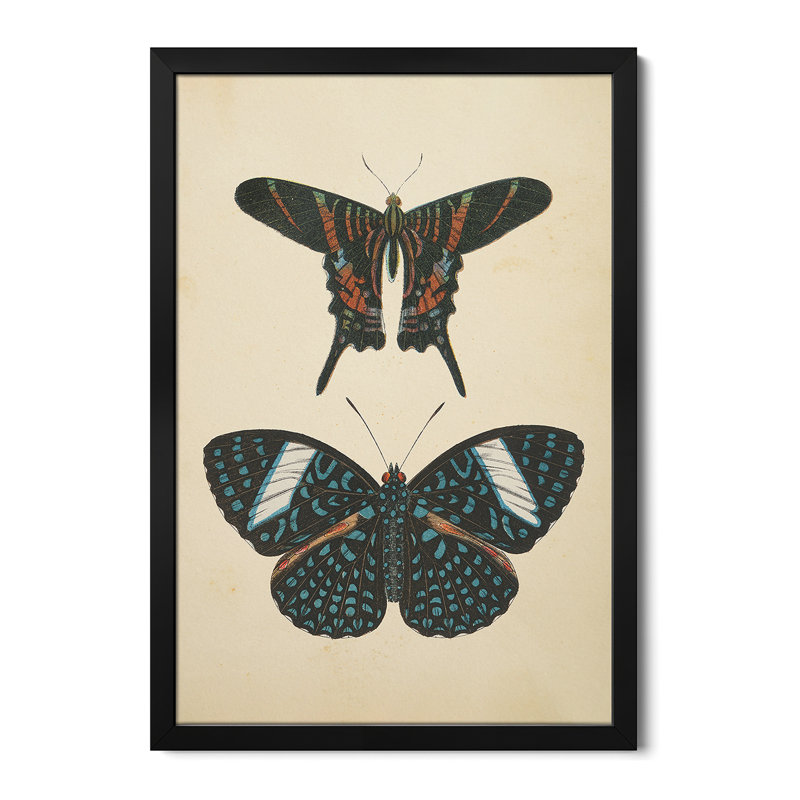 Papillons II - reproduction d'art murale - affiche de galerie, H 32 po x l 24 po