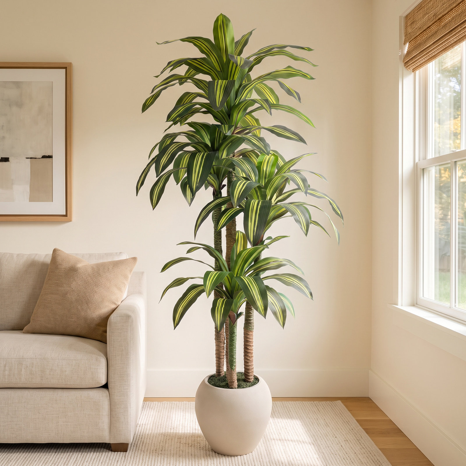 Romney Dracaena Tree in Planter, 84" H x 30" W