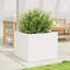 2 Wood Planter-100491928-100491941